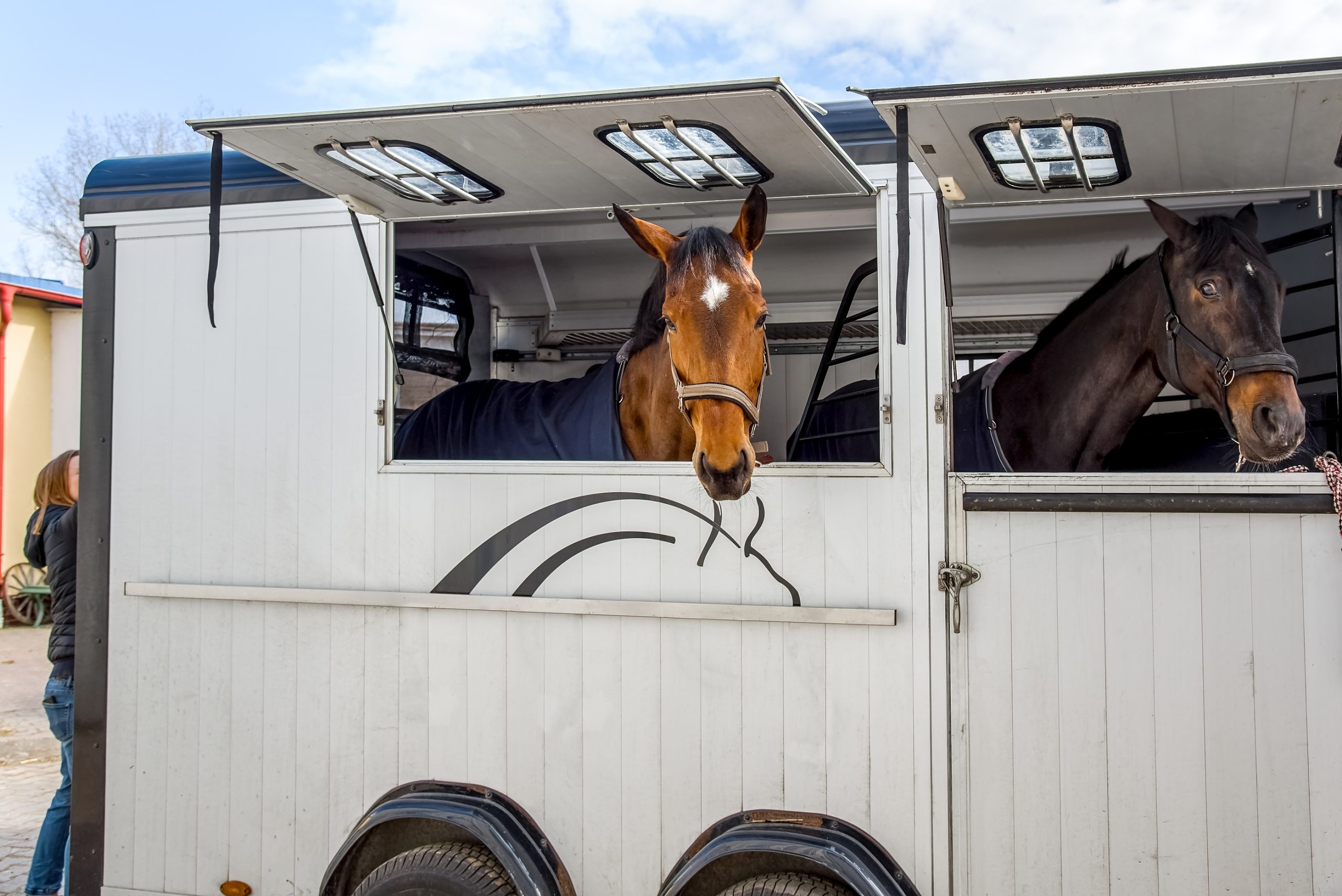 Horse Trailer Repairs - Trucks lights